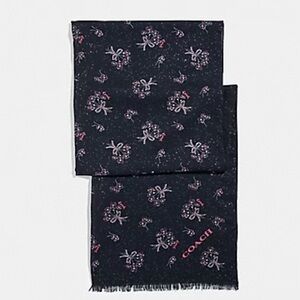 Coach Glitter Ribbon Bouquet Oblong Scarf